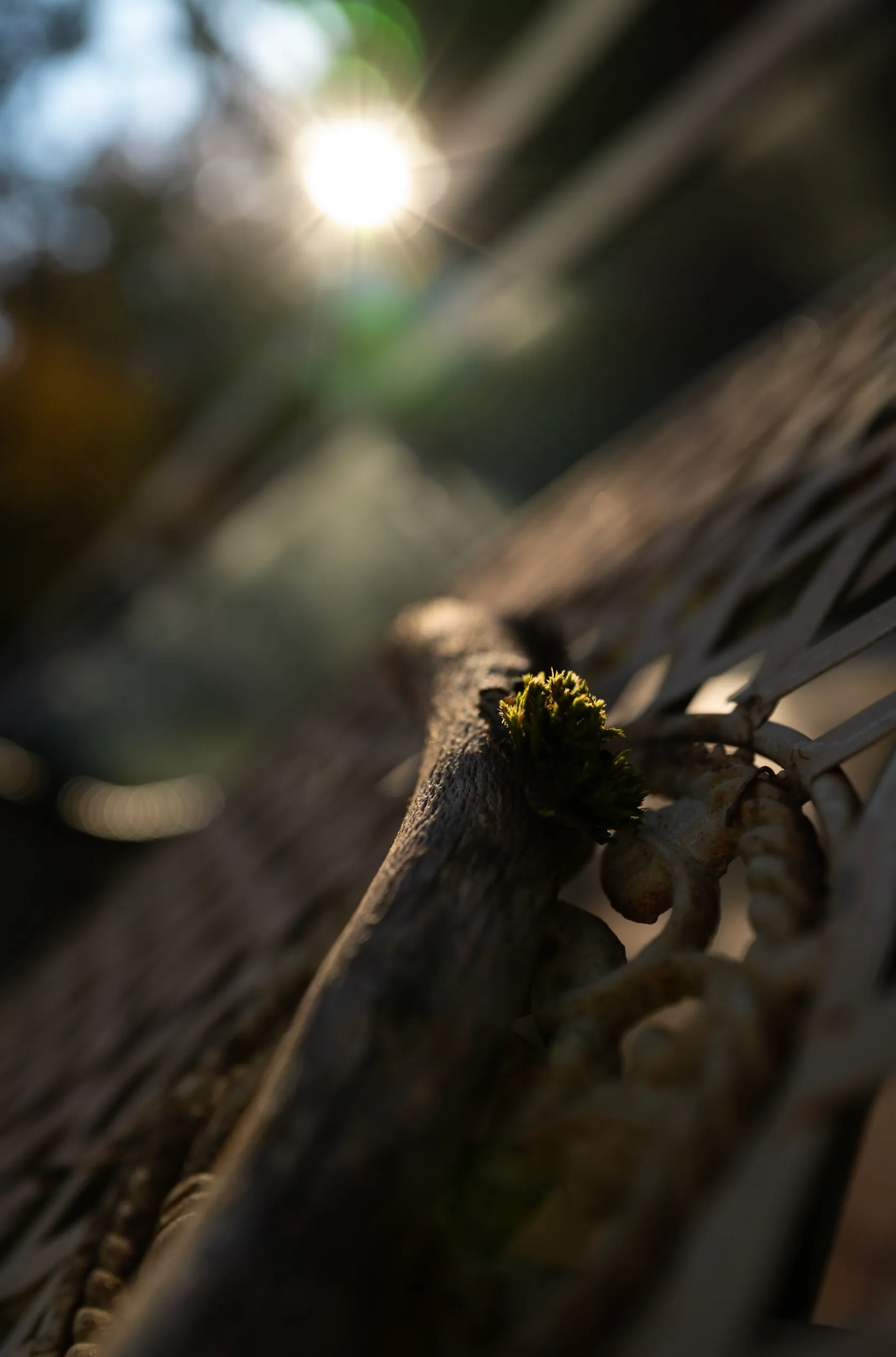 Evidenzbasiertes Management