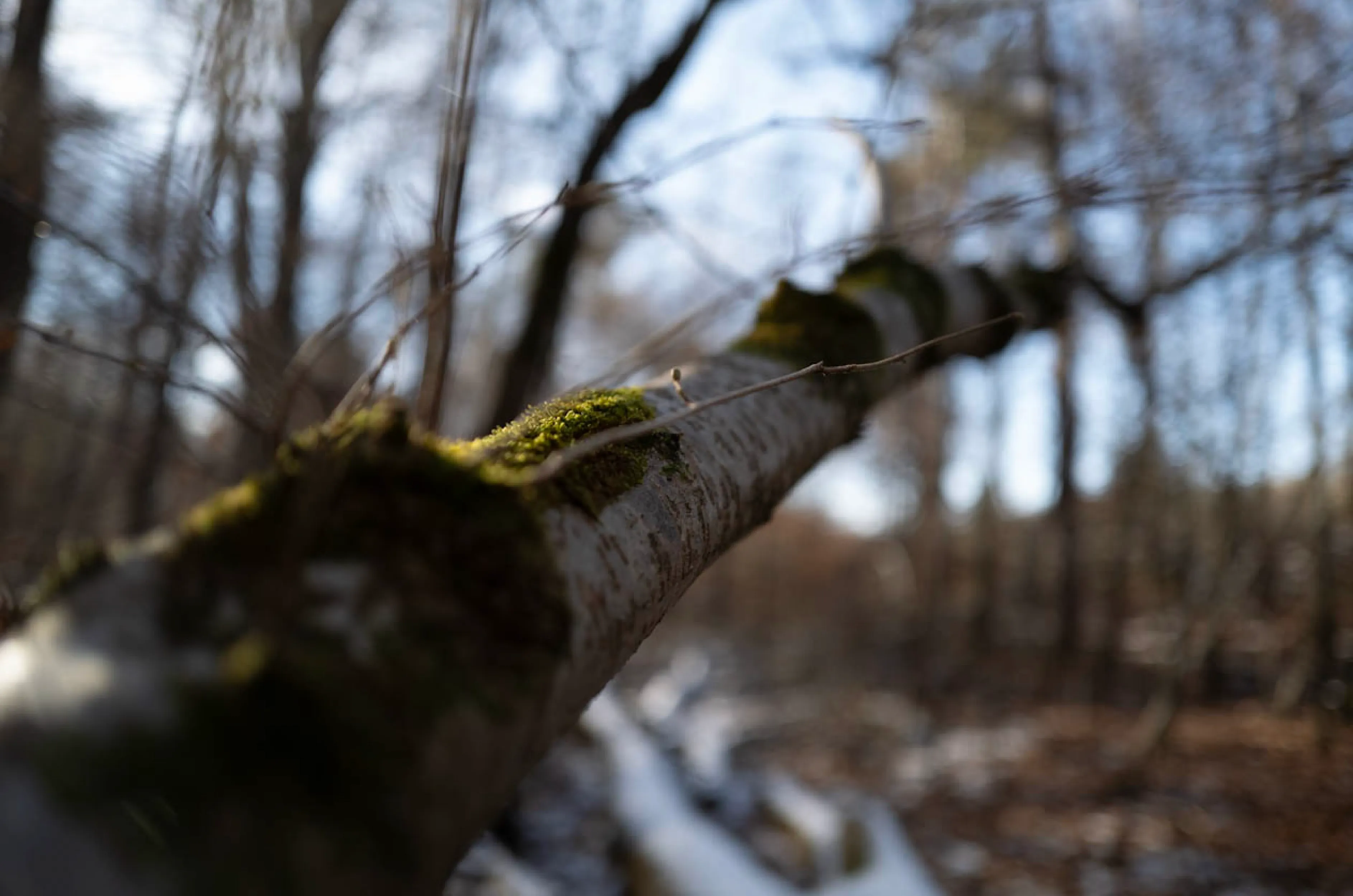 Warum Sie GitOps einführen müssen